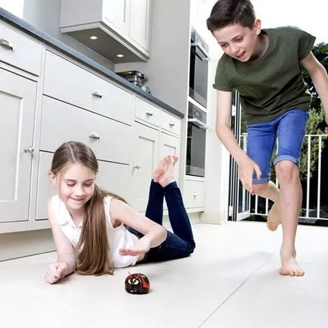 Alt view image 4 of 5 - Boppin' Bugz - Connie Cockroach -The Crazy Bug Bopping Game