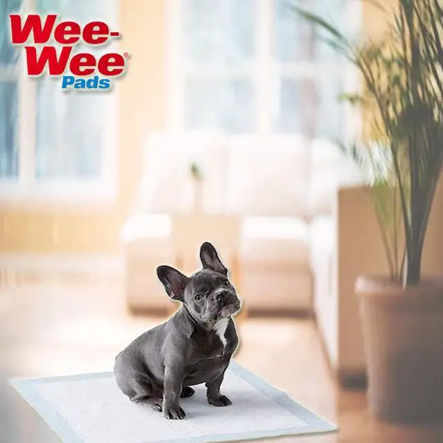 Alt view image 4 of 6 - Four Paws DELUXE Wee Wee Pads for Standard and Little Dogs, 36 Count