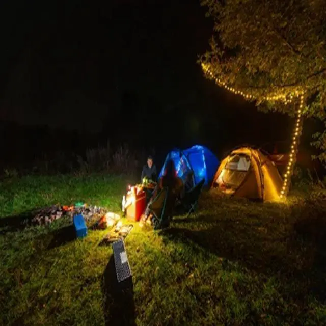 Alt view image 4 of 6 - Torch Light Multipurpose  Lantern
