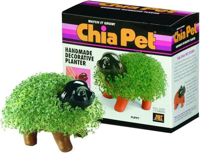 Alt view image 5 of 6 - Chia Pet Planter - Puppy