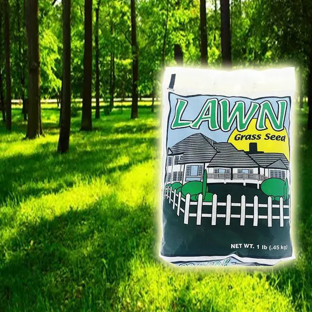 Alt view image 3 of 5 - Shade Master Lawn Grass Seed, 1 lb.