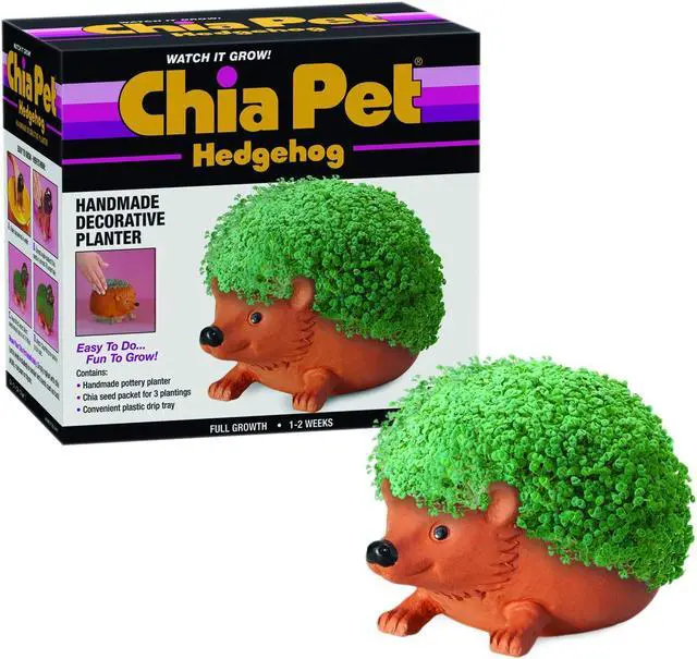 Main image of Chia Pet Planter - Hedgehog