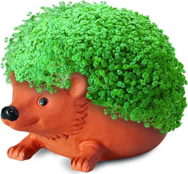 Alt view image 3 of 4 - Chia Pet Planter - Hedgehog