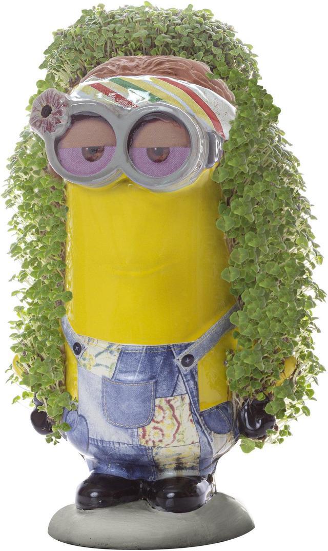 Alt view image 4 of 7 - Chia Pet Planter - Minions The Rise of Gru- Kevin
