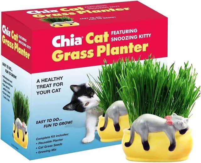 Alt view image 4 of 6 - Chia Pet Planter - Cat Grass Snoozy Kitty