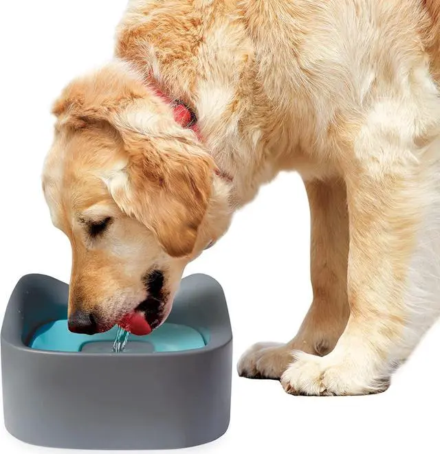 Alt view image 4 of 4 - Pet Parade - No Spill Pet Bowl [JB8902]