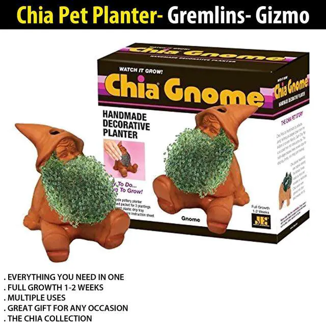 Alt view image 5 of 5 - Chia Pet Planter - Gnome