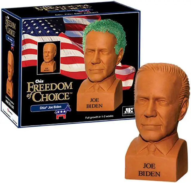Alt view image 6 of 6 - Joe Biden Chia Pet Decorative Planter