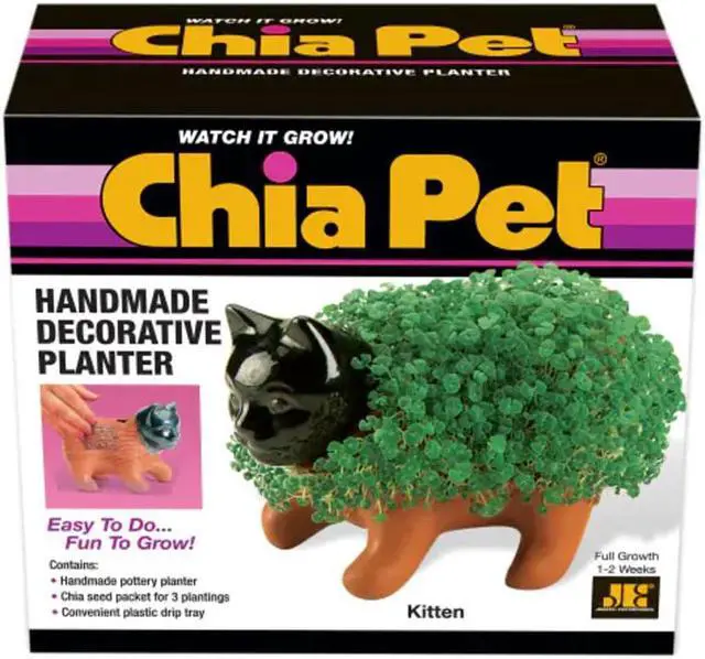 Alt view image 4 of 9 - Chia Pet Planter - Kitten