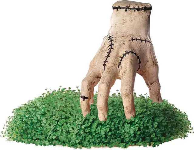 Alt view image 2 of 6 - Chia Pet Planter - Thing