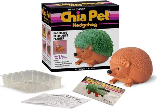 Alt view image 2 of 4 - Chia Pet Planter - Hedgehog