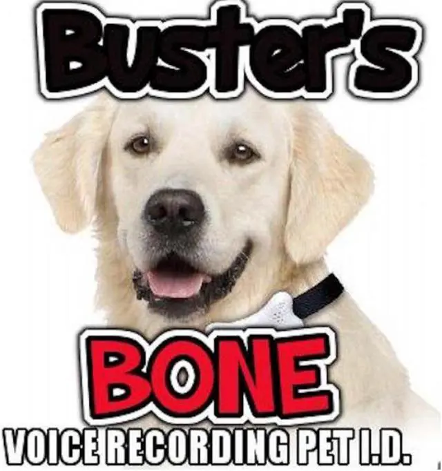 Alt view image 4 of 5 - Buster's Bone Voice Recording Pet I.D.