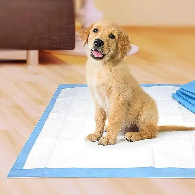 Alt view image 2 of 5 - Four Paws Wee Wee Pads for Standard and Little Dogs, 72 Count