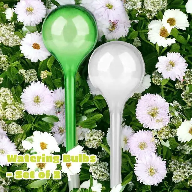 Alt view image 4 of 5 - Watering Bulbs - Set of 2