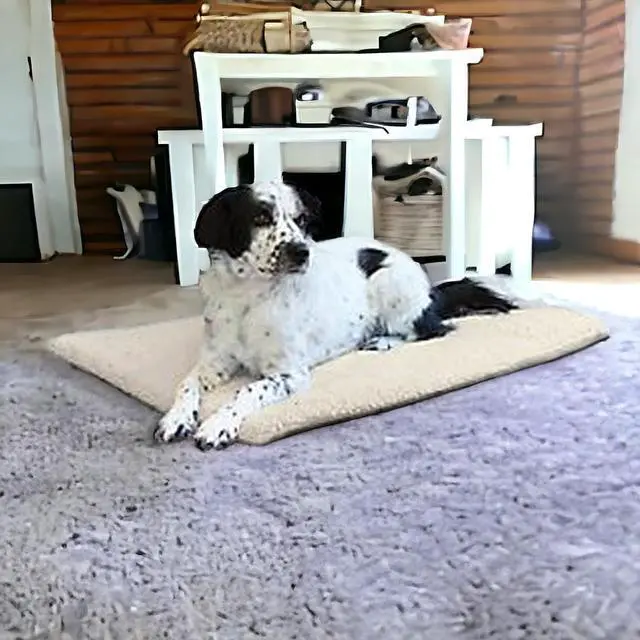 Alt view image 5 of 5 - Self Warming Pet Cushion, 18"x25"