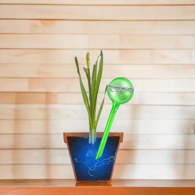 Alt view image 5 of 5 - Watering Bulbs - Set of 2