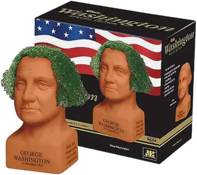 Alt view image 3 of 5 - Chia George Washington Decorative Planter