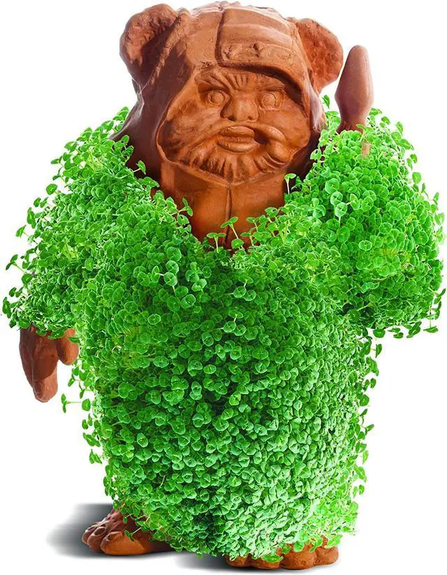 Alt view image 6 of 6 - Star Wars Ewok Chia Pet Decorative Pottery Planter