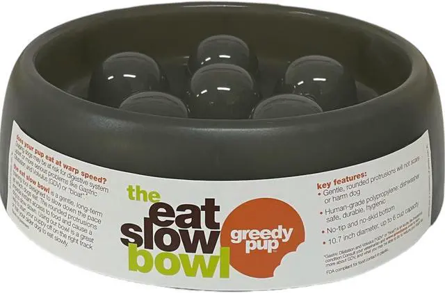 Alt view image 2 of 5 - The Eat Slow Bowl by Greedy Pup