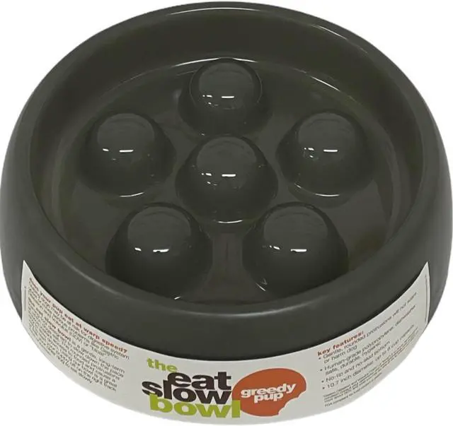 Alt view image 4 of 5 - The Eat Slow Bowl by Greedy Pup