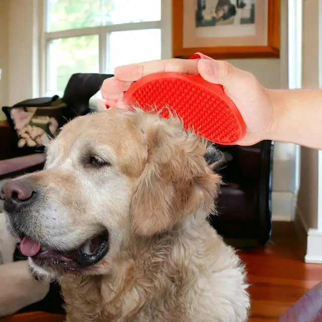 Alt view image 3 of 7 - Pet Grooming Palm Brush