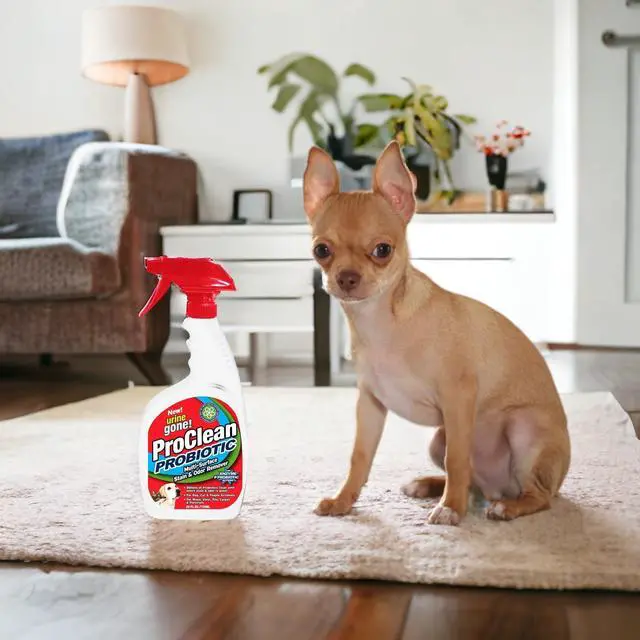Alt view image 3 of 7 - Urine Gone ProClean Stain and Odor Remover  20 Fl Oz
