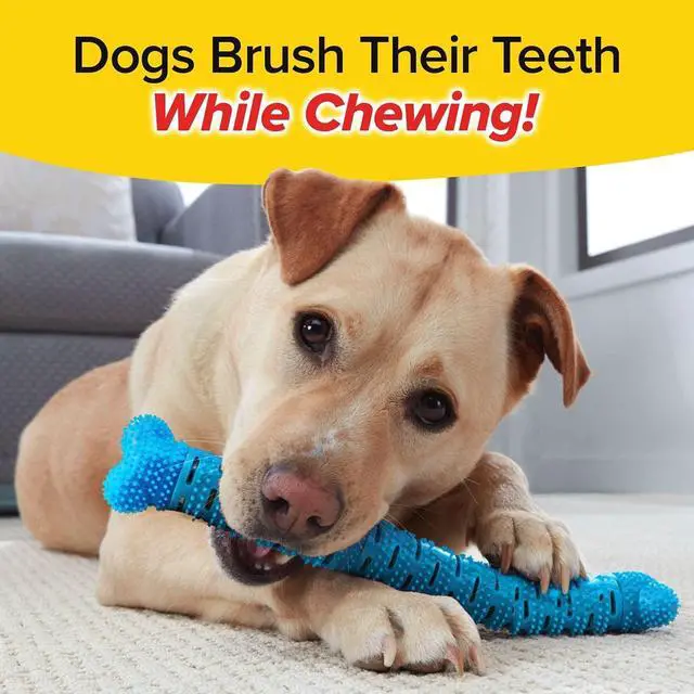 Alt view image 3 of 5 - BrushBone - Dog Toothbrush Bone - Three Pack