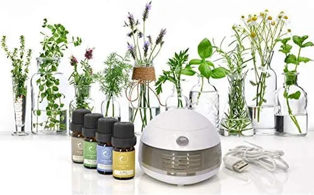 Alt view image 3 of 5 - Eternal Lightweight Oil Diffuser Portable Aromatherapy