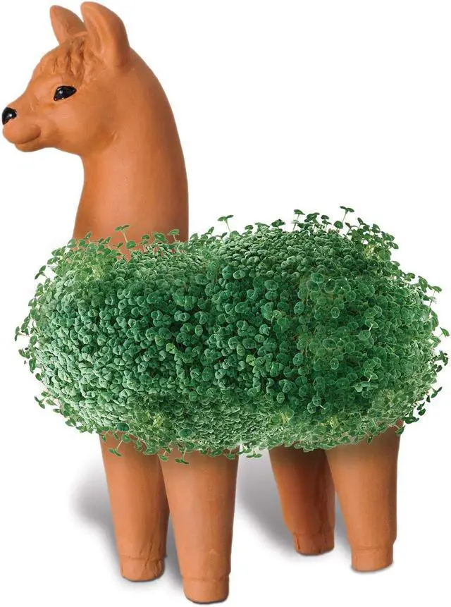 Alt view image 4 of 6 - Llama Chia Pet Decorative Planter