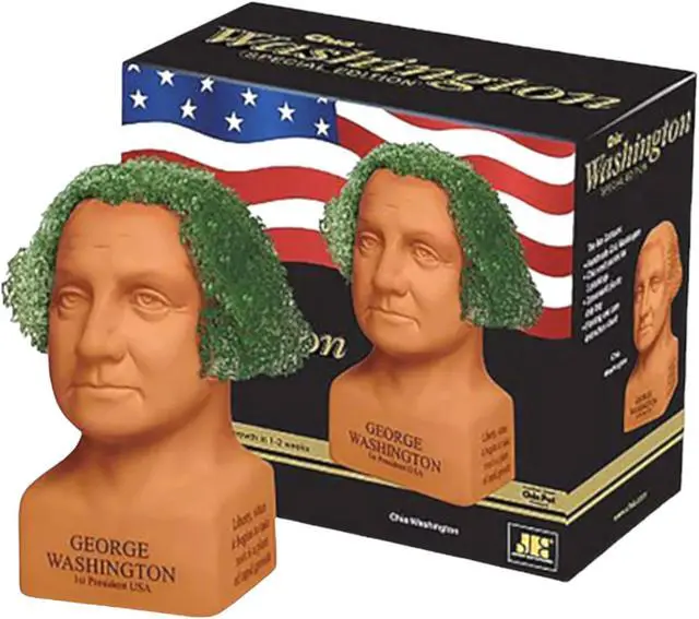 Alt view image 2 of 5 - Chia George Washington Decorative Planter