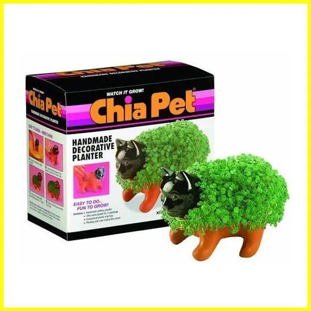 Alt view image 8 of 9 - Chia Pet Planter - Kitten