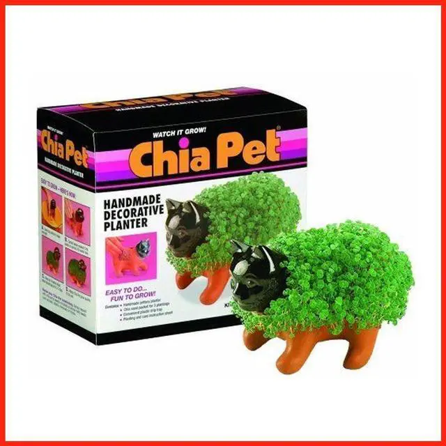 Alt view image 9 of 9 - Chia Pet Planter - Kitten