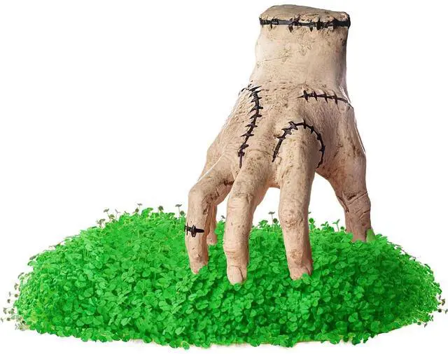 Alt view image 6 of 6 - Chia Pet Planter - Thing
