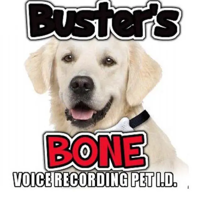 Alt view image 5 of 7 - Buster's Bone Voice Recording Pet I.D.