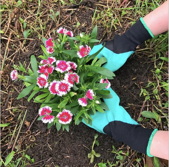 Alt view image 5 of 10 - Garden Gloves - Built in 4 Claws for Easy Gardening