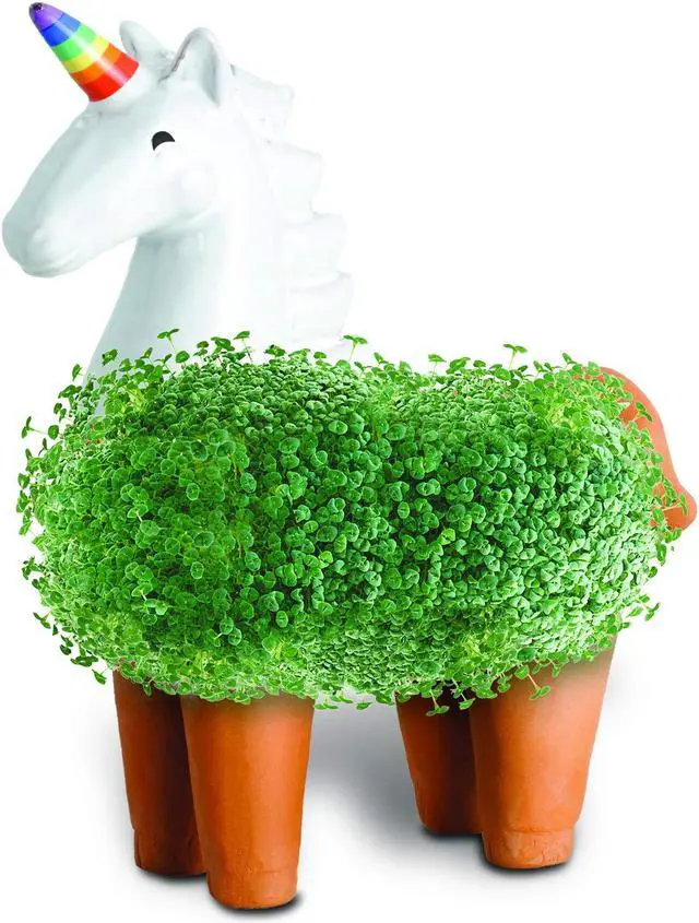 Alt view image 2 of 7 - Chia Pet Planter - Unicorn