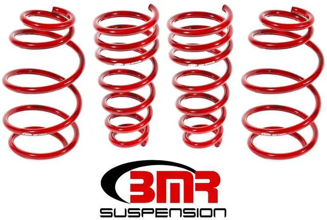 Main image of LOWERING SPRING KIT