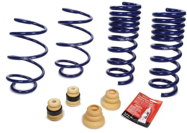 Main image of LOWERING SPRING KIT