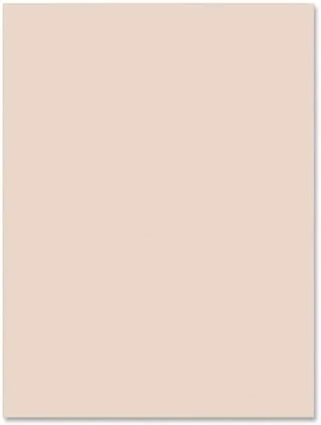 Main image of Pacon Tagboard Paper