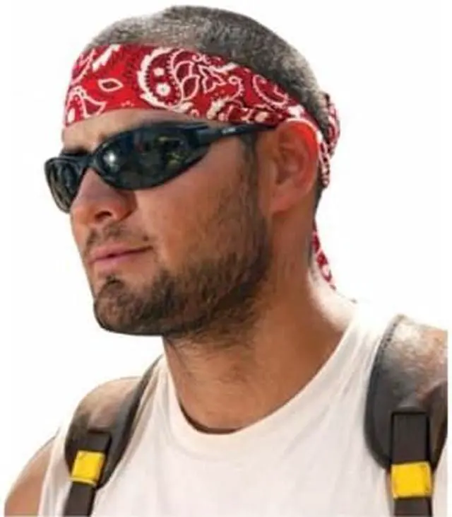 Alt view image 6 of 13 - Ergodyne Blue Cooling Bandana 12307