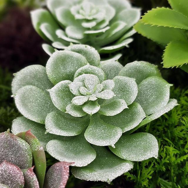Alt view image 6 of 7 - Modern Home 20" Circle Vertical Hanging Artificial Succulent Wall Art - Wall Mount 3D Garden Greenery
