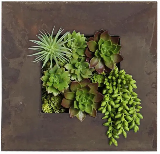 Main image of Modern Home Living Wall Galvanized Steel/Zinc Succulent Planter (Rust Zinc, 4 Pocket)