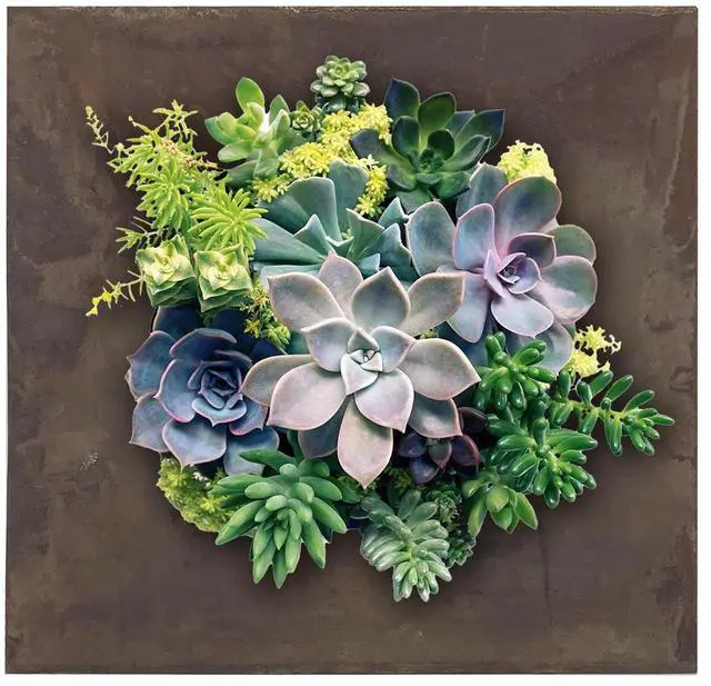 Alt view image 6 of 6 - Modern Home Living Wall Galvanized Steel/Zinc Succulent Planter (Rust Zinc, 4 Pocket)