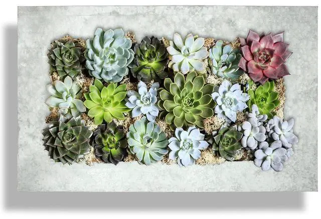 Main image of Modern Home Living Wall Galvanized Steel/Zinc Succulent Planter (Aged Zinc, Horizontal 18 Pocket)