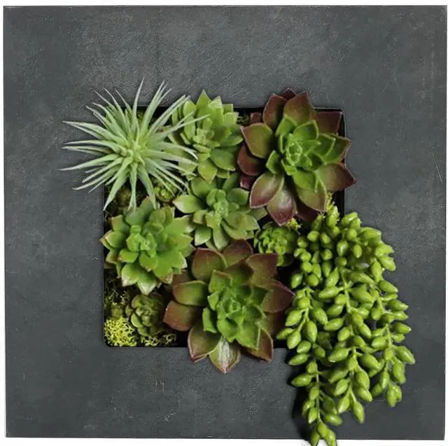 Main image of Modern Home Living Wall Galvanized Steel/Zinc Succulent Planter (Black Zinc, 4 Pocket)