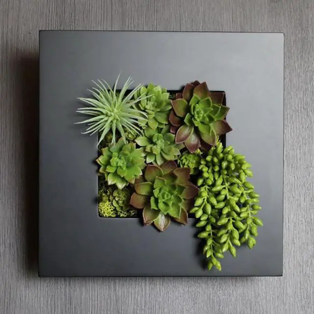 Alt view image 6 of 7 - Modern Home Living Wall Galvanized Steel/Zinc Succulent Planter (Black Zinc, 4 Pocket)