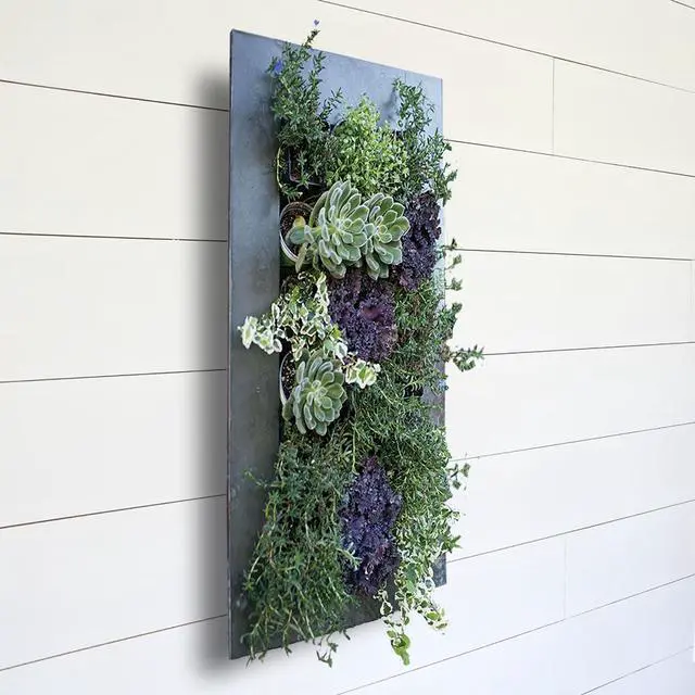 Alt view image 6 of 7 - Modern Home Living Wall Galvanized Steel/Zinc Succulent Planter (Rust Zinc, 12 Pocket)