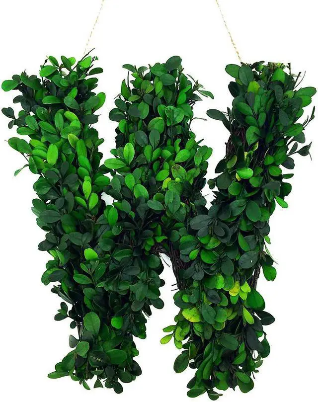 Alt view image 4 of 5 - Modern Home 12" Real Preserved Boxwood Monogram Wreath Letters - Q