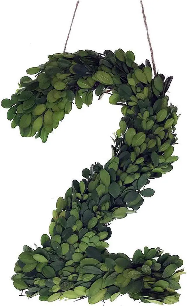 Alt view image 5 of 7 - Modern Home 12" Real Preserved Boxwood Monogram Wreath Letters - 2