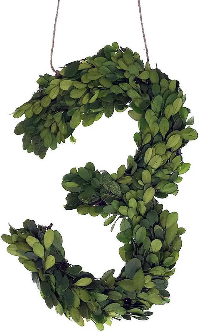 Main image of Modern Home 12" Real Preserved Boxwood Monogram Wreath Letters - 3